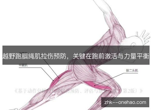 越野跑腘绳肌拉伤预防,关键在跑前激活与力量平衡 越野跑腘绳肌拉伤预防,关键在跑前激活与力量平衡